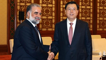 China's top legislator eyes more China-Pakistan exchanges