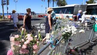 IS claims responsibility for Nice attack