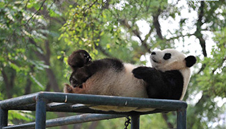 In pics: Animals in zoo of Tianjin