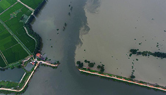 Dike breaches in central China, no casualties reported