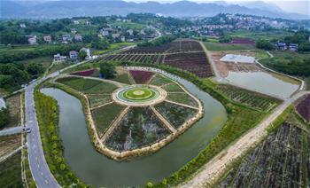 Aerial photos show floral garden in SW China's Sichuan