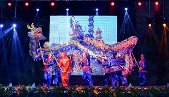 Afro-Chinese Arts & Folklore Festival opens in Cairo, Egypt