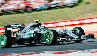 Rosberg takes pole at F1 Hungarian Grand Prix