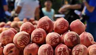 Peach fair held in Pinggu District, Beijing