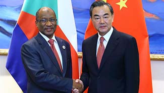 Chinese FM meets officials attending Sino-African meeting
