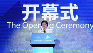Liu Yandong delivers speech at opening of China-ASEAN Ministers Roundtable Conference