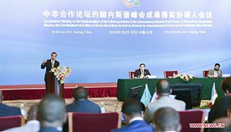Chinese FM delivers work report during Coordinators' Meeting