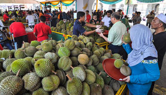 Malaysia holds Durian Festival for sales promotion