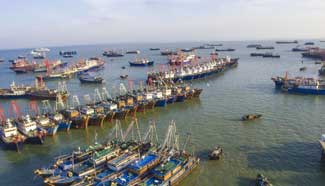 Fishing boats gather outside port before moratorium ends in S China
