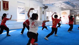 What is Chinese Kungfu? American fans have given their answers