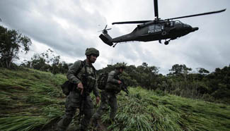104 cocaine-producing laboratories busted in Colombia