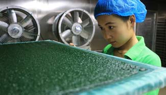 Spirulina industry developed in east China