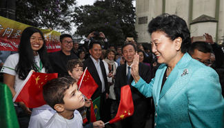 Chinese vice premier visits Confucius Institute in Sao Paulo