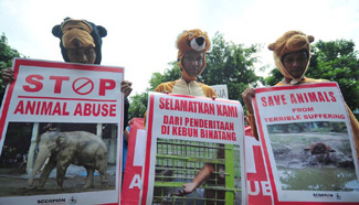 Indonesian activists protest against animal abuse in Jakarta