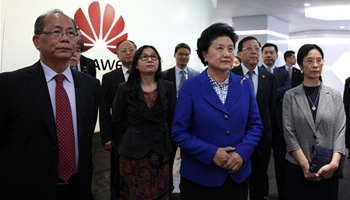 Chinese vice premier urges Huawei to continue innovation