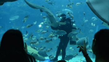 People visit aquarium in east China's Nanchang