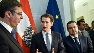 Austrian FM meets with Serbian PM in Vienna