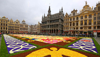 20th Flower Carpet kicks off at Grand Place in Bussels, Belgium