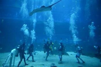 Performers play underwater football match in C China