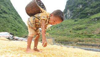 Over 3 mln people pulled out of poverty in past 4 years in Guangxi