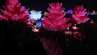 Lantern fair held in SW China