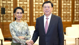 China's top legislator meets with Aung San Suu Kyi in Beijing