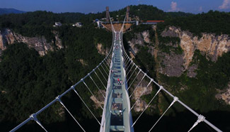 Zhangjiajie Grand Canyon's glass-bottom bridge opens to tourists