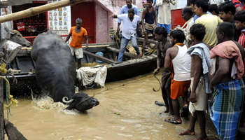 Continuous heavy rainfall brings flood threat in E. India's Bihar