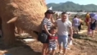 Giant straw dinosaurs stalk visitors to E China vineyard