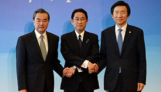 8th trilateral foreign ministers' meeting held in Tokyo