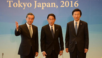 FMs of China, Japan, S. Korea attend trilateral meeting