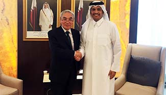 Chinese envoy on Syrian Issue meets with Qatari FM in Doha