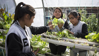 Argentine students learn horticulture in Buenos Aires