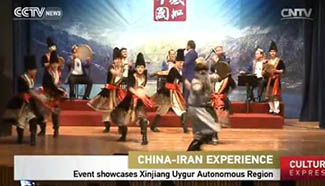 '2016 Experience China' in Iran opens