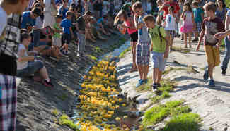 Rubber ducks race held during charity event in Hungary