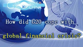 How did G20 cope with global financial crisis?