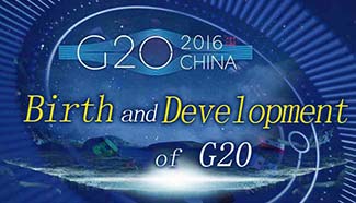 Birth and Development of G20