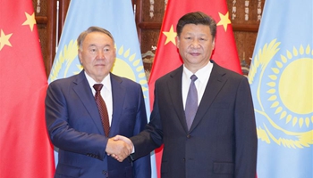 China, Kazakhstan expect G20 summit to chart course for world economy