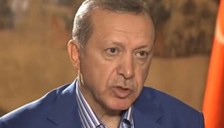 Interview: Erdogan expresses hopes ahead of leaders' meeting