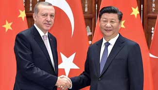 China, Turkey pledge counter-terrorism, energy cooperation