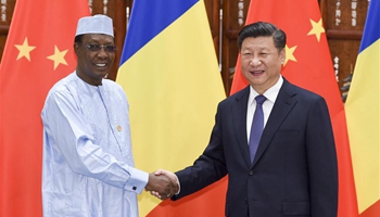 Chinese president meets Chadian counterpart in Hangzhou