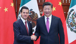 China, Mexico to deepen comprehensive strategic partnership