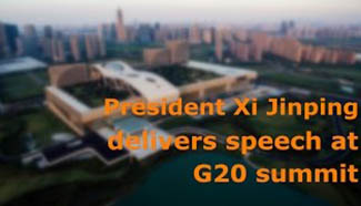 Video:President Xi Jinping delivers speech at G20 Summit