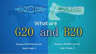 What are G20 and B20?