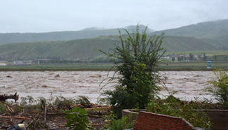 Typhoon Lionrock brings heavy rain in NE China's Jilin