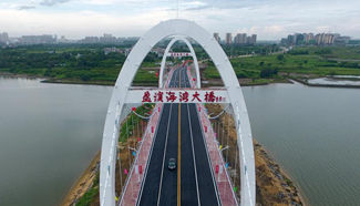 S. China's Yingbin Bay Bridge opens to public