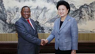 Chinese vice premier meets South African Communist Party delegation