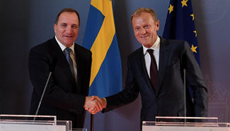Swedish PM, European Council president discuss EU's future and challenges following UK referendum