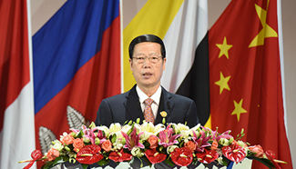 Chinese Vice Premier addresses China-ASEAN Expo