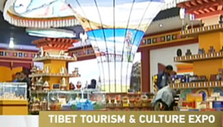 Tibet's expo draws experts from around the world